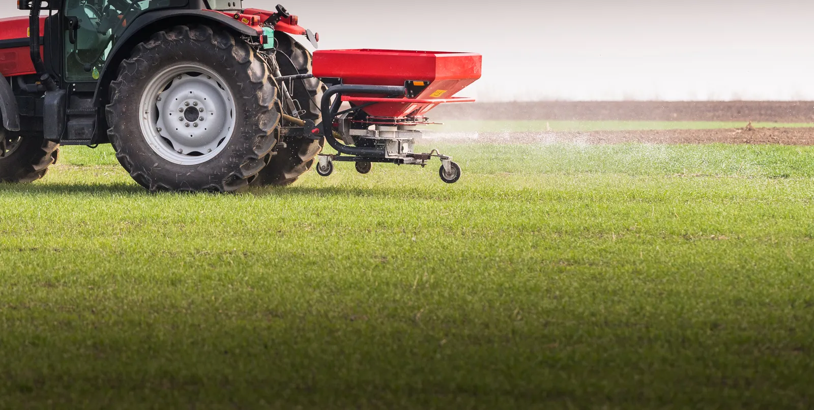 FERTILIZER